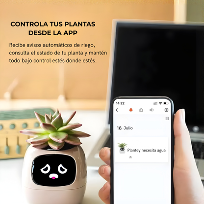 Plantye – Maceta inteligente