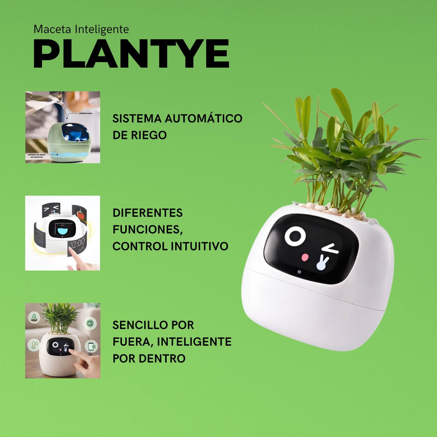 Plantye – Maceta inteligente