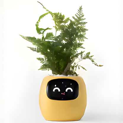 Plantye – Maceta inteligente