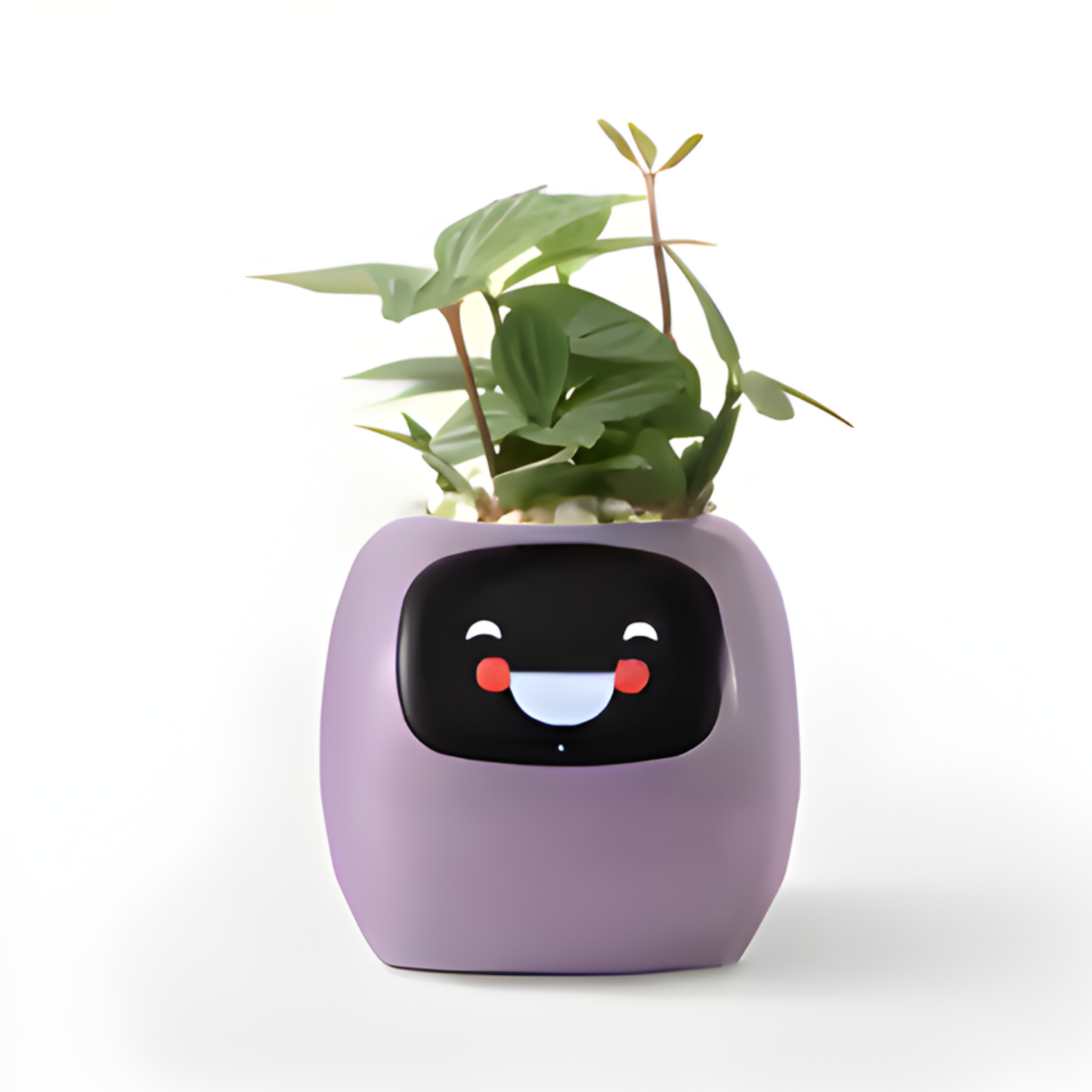 Plantye – Maceta inteligente