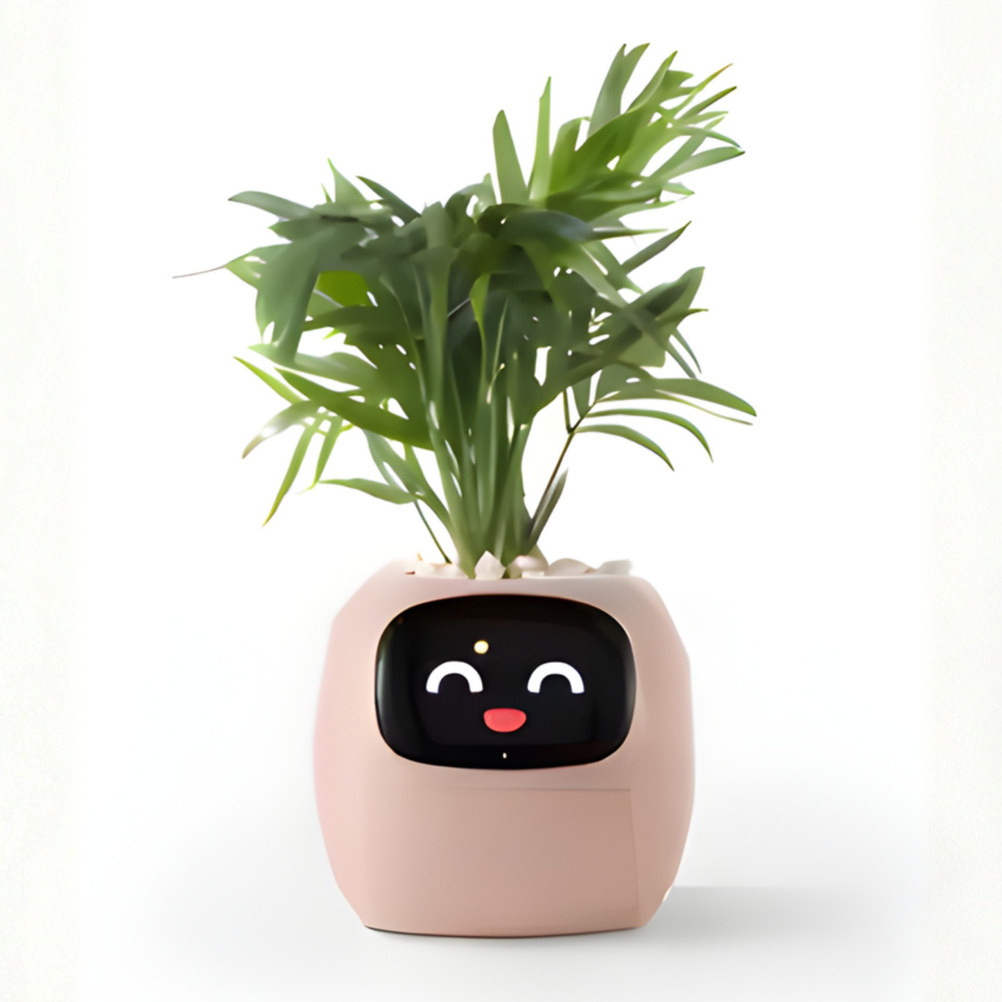 Plantye – Maceta inteligente