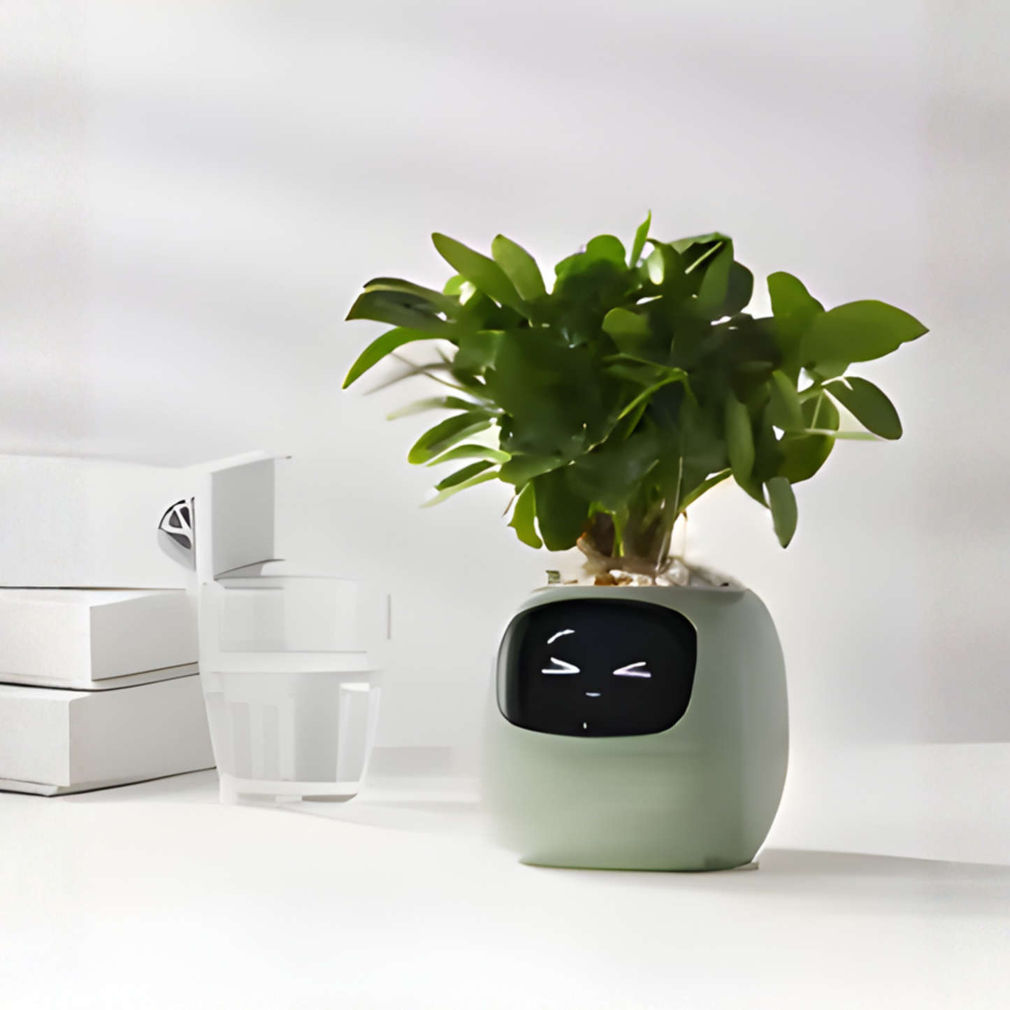 Plantye – Maceta inteligente